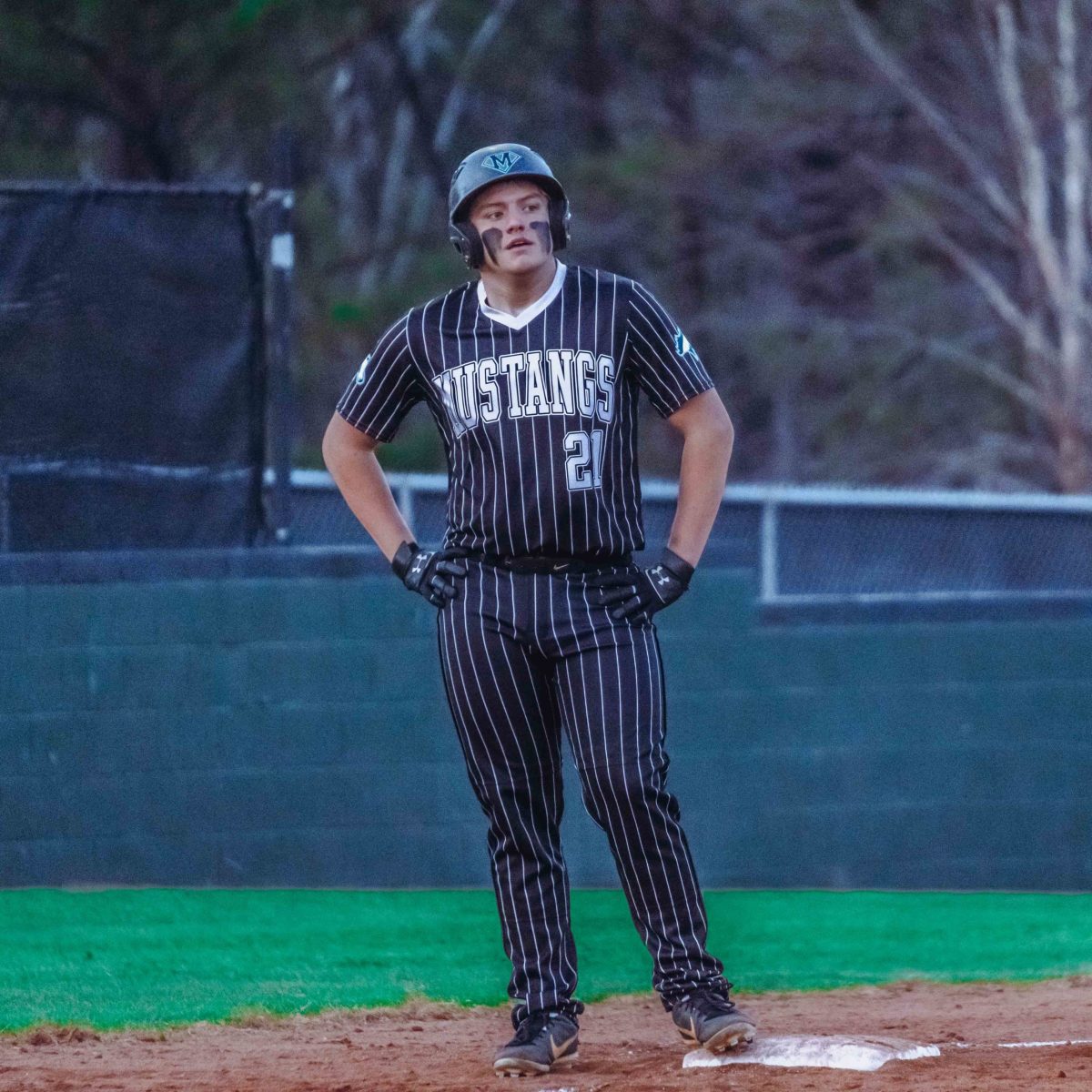 Willie_Prince_Kennesaw_Mountain_baseball.123